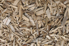 biomass boilers Hookwood